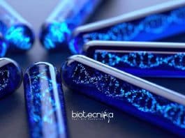 Biotechnology Junior Research Fellow