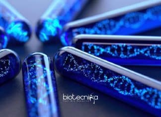 Biotechnology Junior Research Fellow