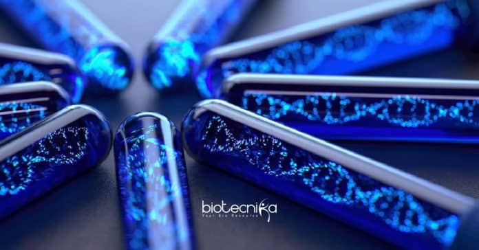 Biotechnology Junior Research Fellow