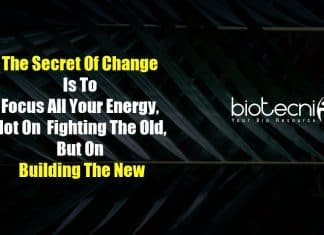 Biotecnika Times – Newsletter 17.11.2020 – Govt Central Coffee Research Recruitment, Tata