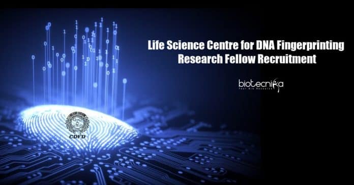 CDFD Research Fellow Jobs