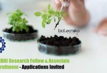CSIR-NBRI Research Fellow
