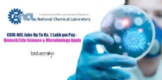 CSIR-NCL Jobs