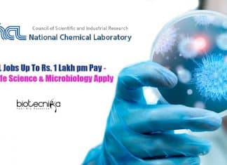 CSIR-NCL Jobs