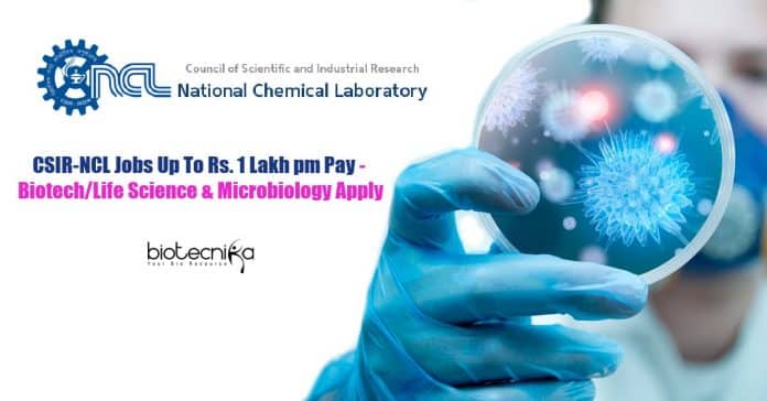 CSIR-NCL Jobs