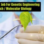 CSKHPKV JRF Job For Genetic Engineering / Biotech / Molecular Biology CSKHPKV JRF Job