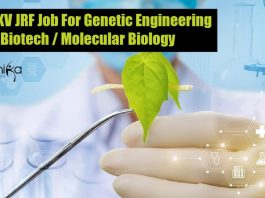 CSKHPKV JRF Job