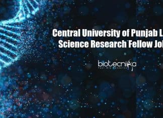 Central University of Punjab Life Science Research Fellow Job CUP Life Science JRF