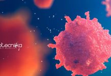 University of Calcutta Dept of Biotech Junior Research Fellow Job Calcutta University JRF Job