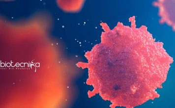 Calcutta University JRF Job