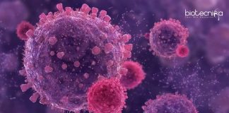 Cancer Research Projects