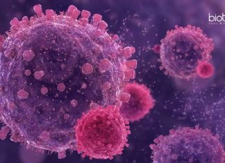 Drug Discovery In Cancer Research Project Recruitment at JNU Cancer Research Projects