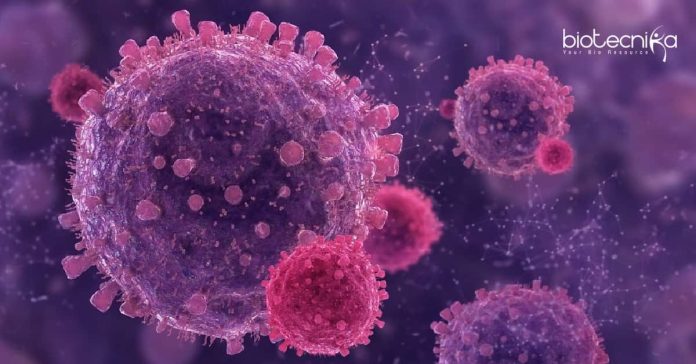Cancer Research Projects