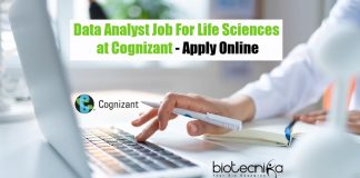 Data Analyst Job For