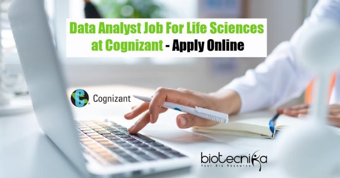 Data Analyst Job For