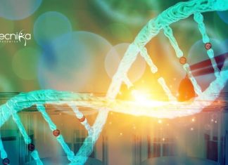 Dibrugarh University Life Science & Botany Research Fellow Recruitment Dibrugarh University Life Science