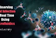 Observing Viral Infection In Real-Time Using Microfluidic Devices Observing viral infection in real-time