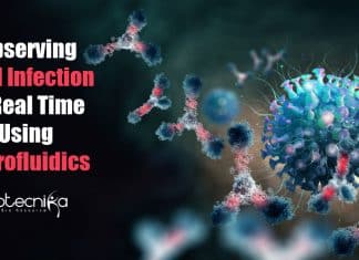 Observing Viral Infection In Real-Time Using Microfluidic Devices Observing viral infection in real-time