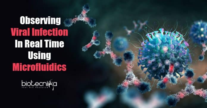 Observing viral infection in real-time