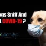 Can Dogs Sniff and detect COVID