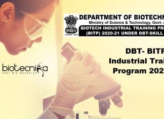 DBT BITP 2021