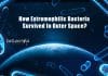 Scientists Uncover How Extremophilic Bacteria Survived In Outer Space Extremophiles Survive Drastic Influence