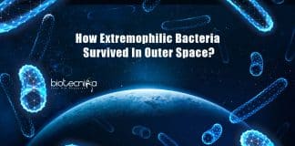 Extremophiles Survive Drastic Influence