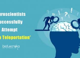 Neuroscientists research on Brain 'Teleportation'