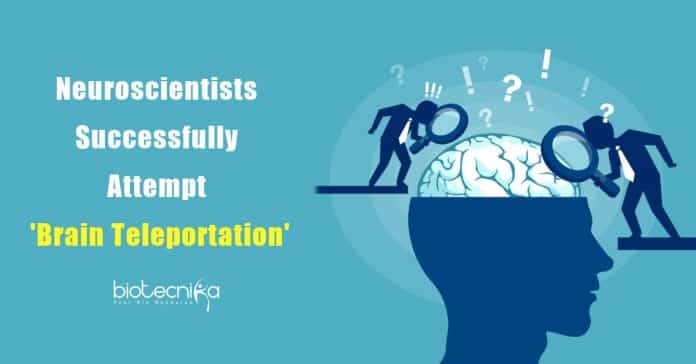 Neuroscientists research on Brain 'Teleportation'