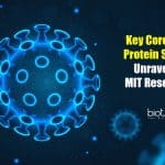 key coronavirus protein