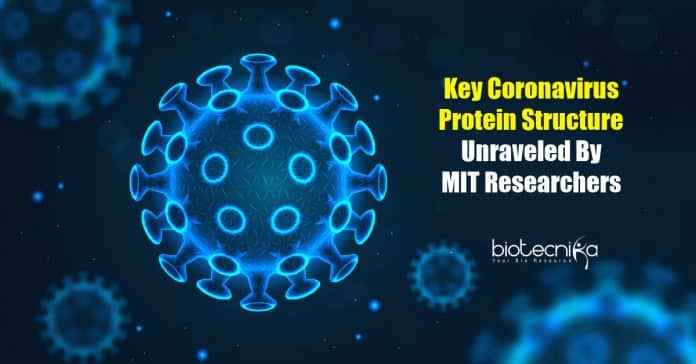 key coronavirus protein