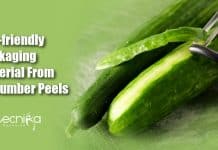 IIT Researchers Develop Eco-friendly Packaging Material From Cucumber Peels Eco-friendly packaging material