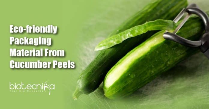 Eco-friendly packaging material