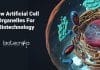 New Artificial Cell Organelles For Biotechnology Created By Goethe University Frankfurt Researchers New Artificial Cell Organelles