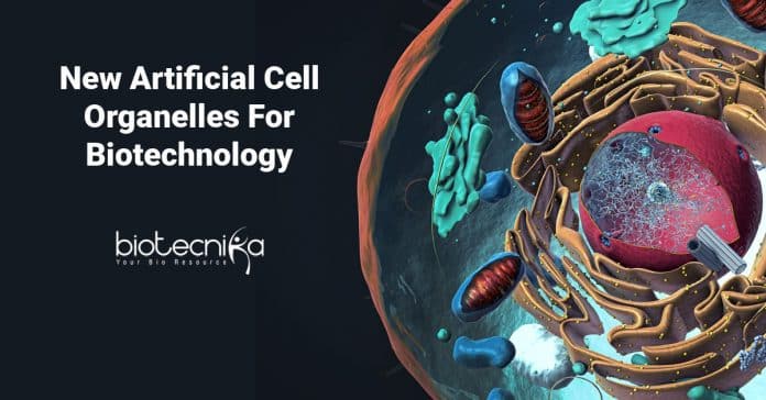New Artificial Cell Organelles