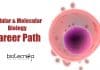 Cell & Molecular Biology Career Path – Job Prospects Cellular & Molecular Biology Career