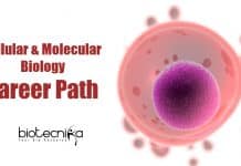 Cell & Molecular Biology Career Path – Job Prospects Cellular & Molecular Biology Career
