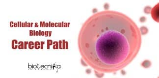 Cellular & Molecular Biology Career