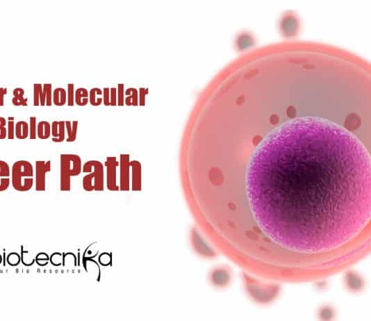 Cellular & Molecular Biology Career