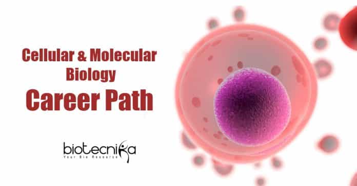 Cellular & Molecular Biology Career