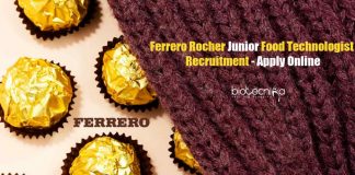 Ferrero Rocher Vacancy