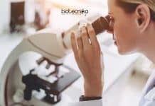 Guru Nanak Dev University Life Science Project Fellow Job Available GNDU Life Science Job