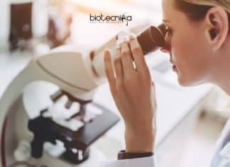 Guru Nanak Dev University Life Science Project Fellow Job Available GNDU Life Science Job