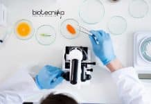 General Mills Food Tech Scientist Job – Apply Online General Mills Food Tech