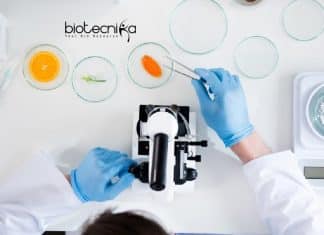 General Mills Food Tech