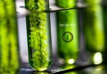 Govt National Agri-Food Biotechnology Institute Recruitment Government NABI Vacancies 2020