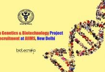 Human Genetics & Biotechnology Project Recruitment at AIIMS, New Delhi Human Genetics JRF Jobs