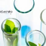 Hyderabad University Project Job