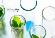 University of Hyderabad Project Assistant Job Opening Hyderabad University Project Job