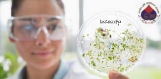 ICAR-IARI Biotech
